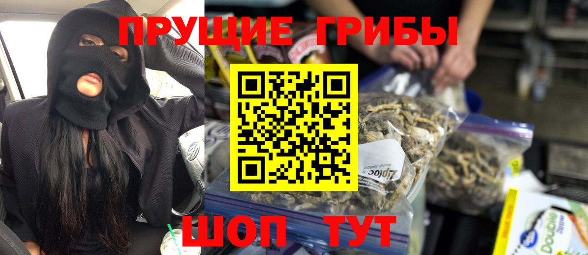 Псилоцибиновые грибы мухоморы Моршанск