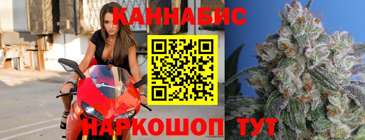 Каннабис планчик Моршанск